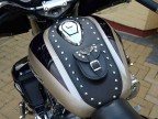 S) HONDA VALKYRIE F6C GL 1500 C LEATHER TANK Pad Panel Bib Chap Bra